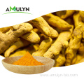 Natural Food Pigment Turmeric Root Extract Powder